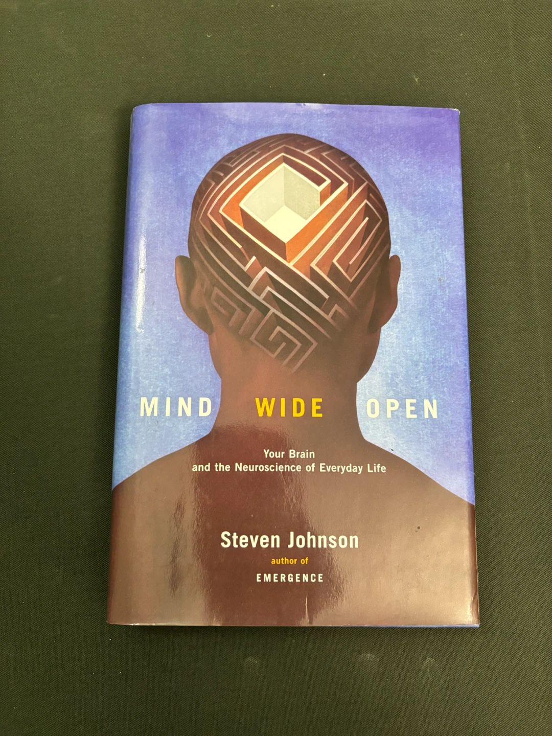 Mind Wide Open by Steven Johnson