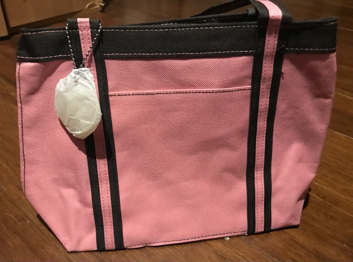 Gemline Tote Lunch Bag