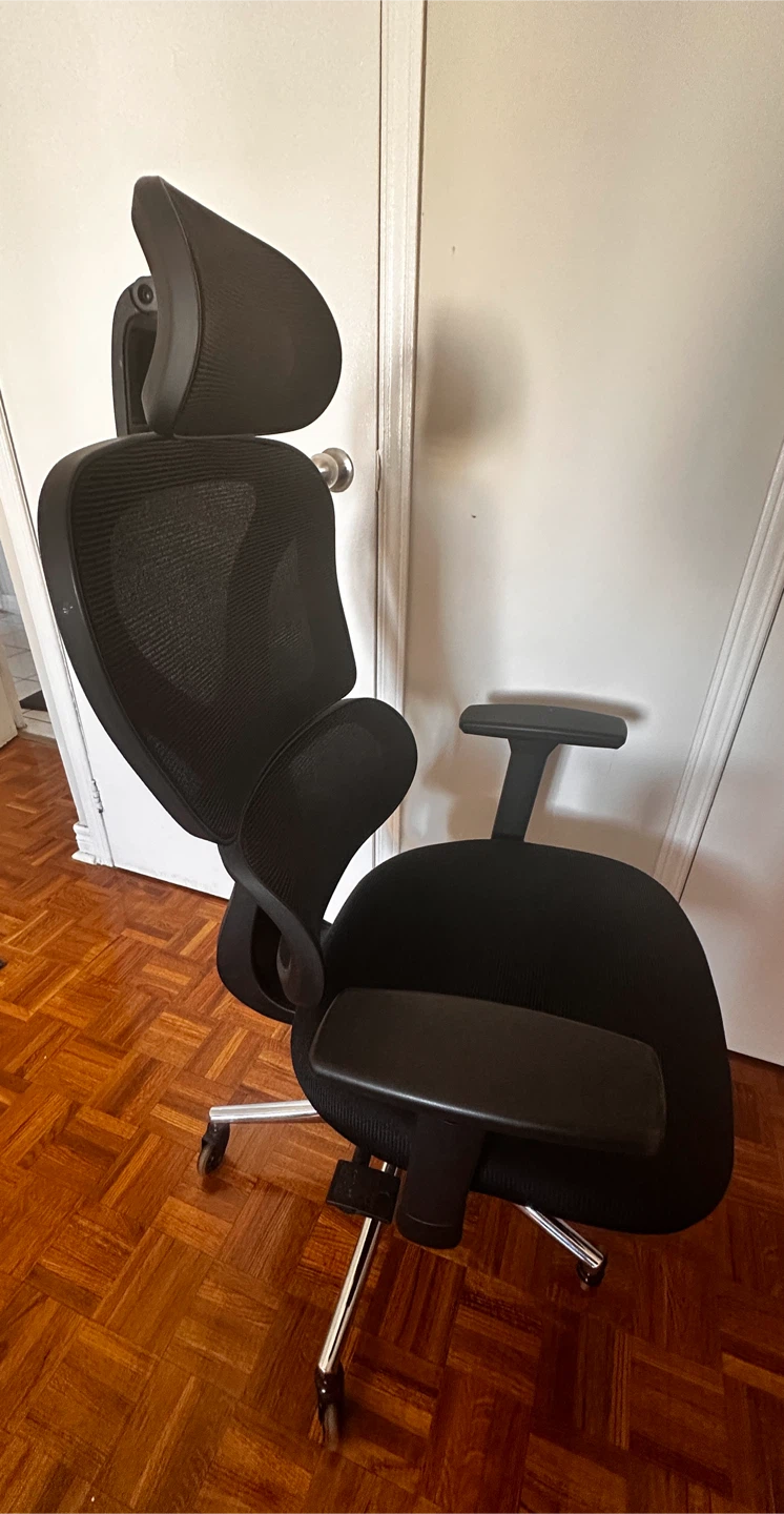Ergonomic Office Chair with Headrest