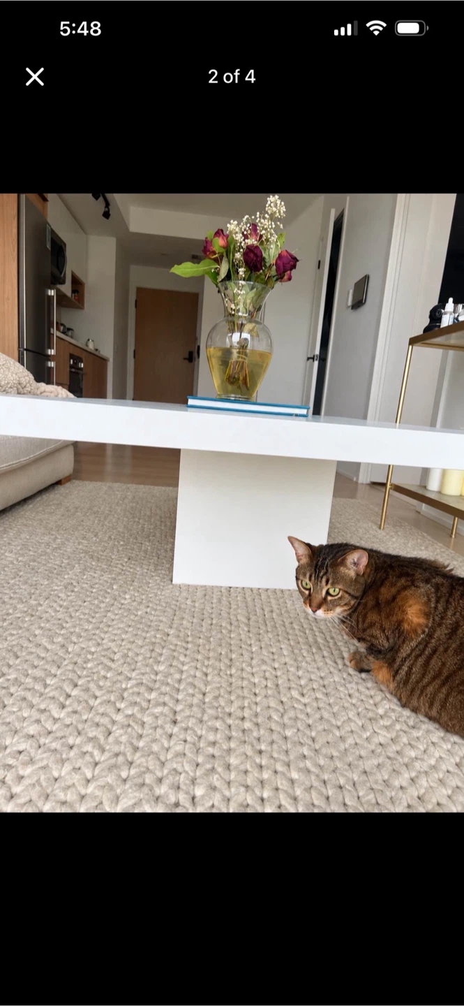 Large white coffee table - photo 2