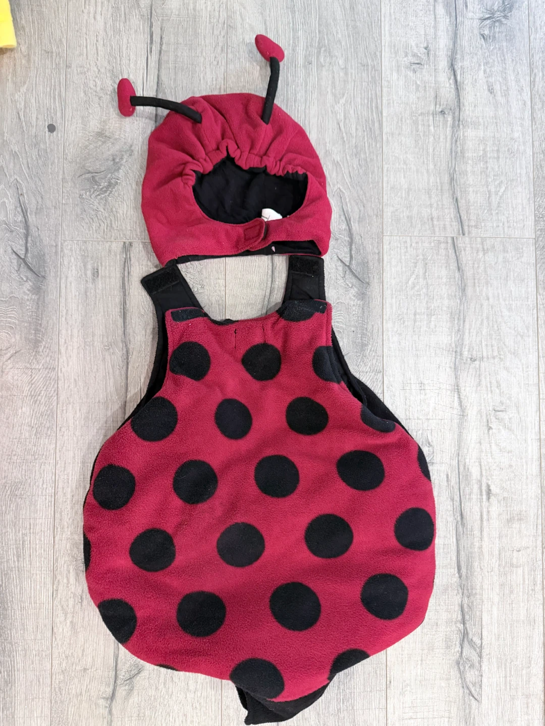 The Children's Place Ladybug Costume 12-18 Months