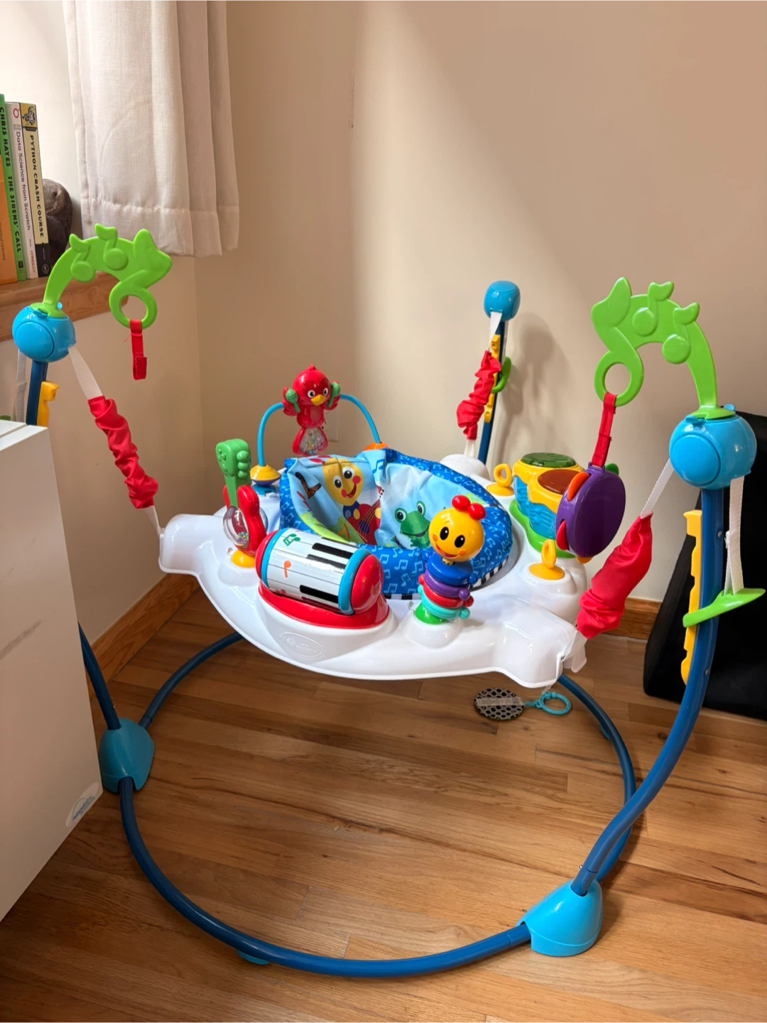 Baby Einstein Baby Jumper
