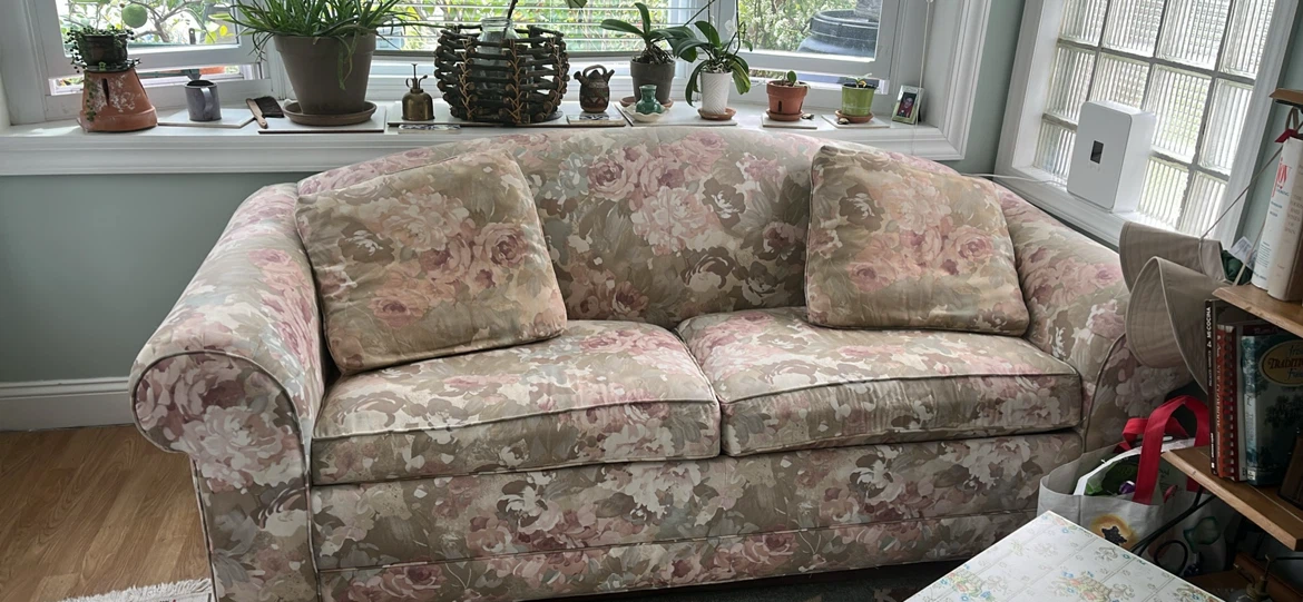 Ethan Allen sleeper sofa