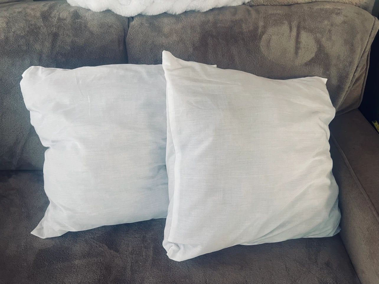 Pillow inserts x 2