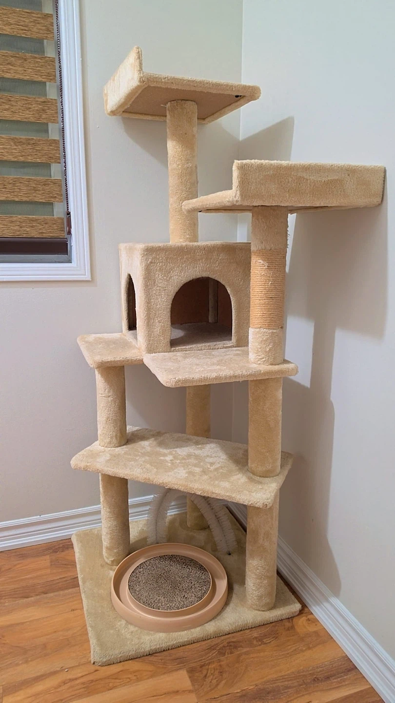 Whisker City 60-in Playbox Cat Tree