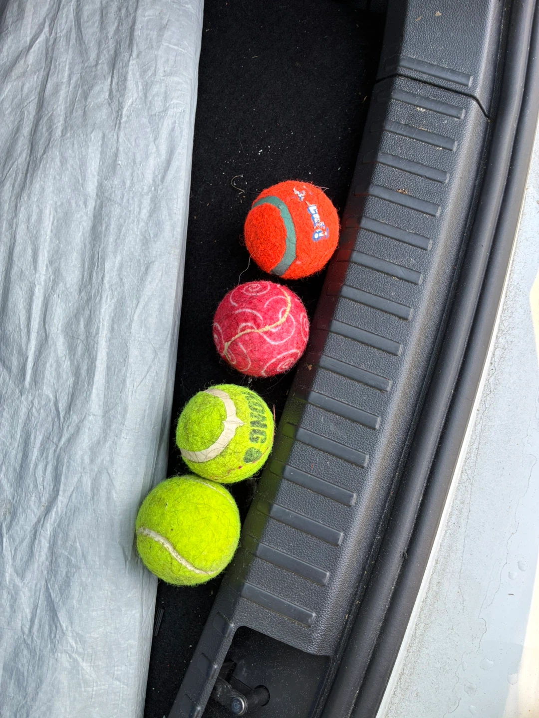 Set of 4 Assorted Dog Balls