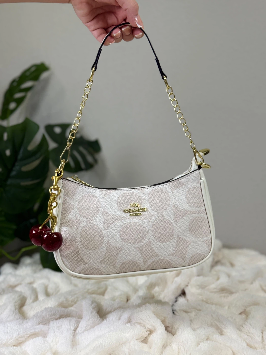 Coach Signature Canvas Mini Bag
