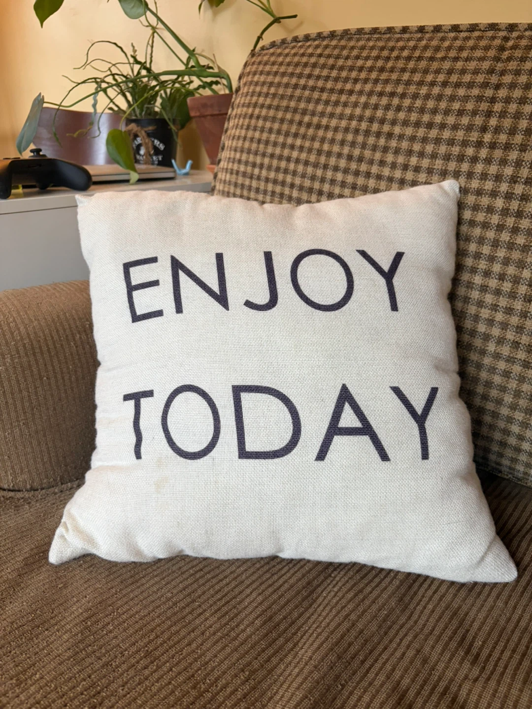 Enjoy Today Decorative Throw Pillow