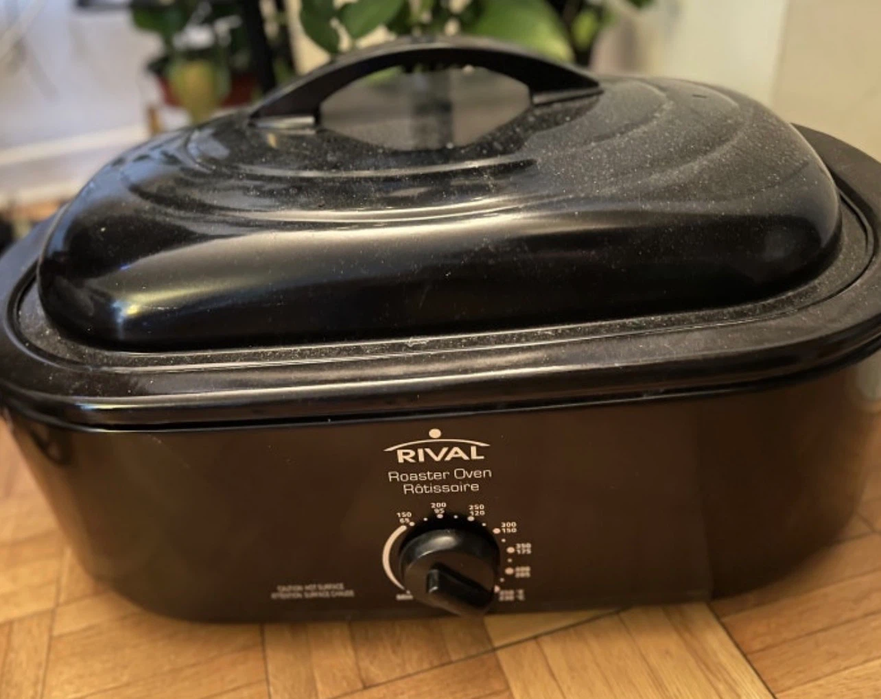 Rival Roaster Oven