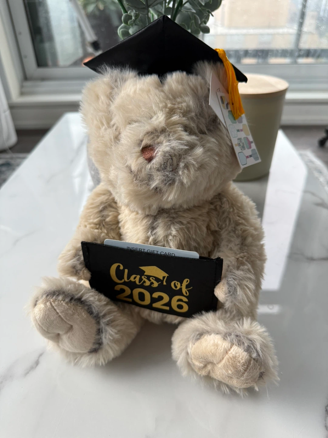New Class of 2026 Graduation Teddy Bear
