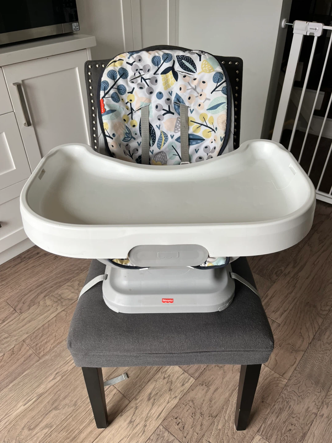 Fisher-Price Booster Seat