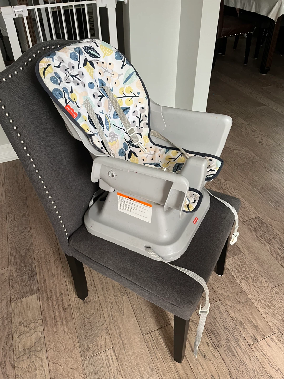 Fisher-Price Booster Seat - photo 4