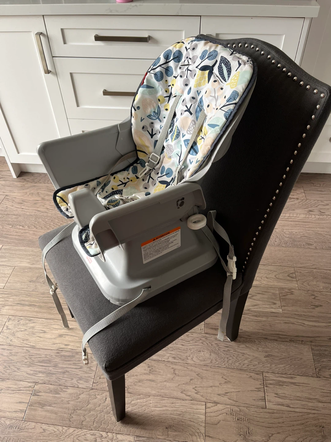 Fisher-Price Booster Seat - photo 5