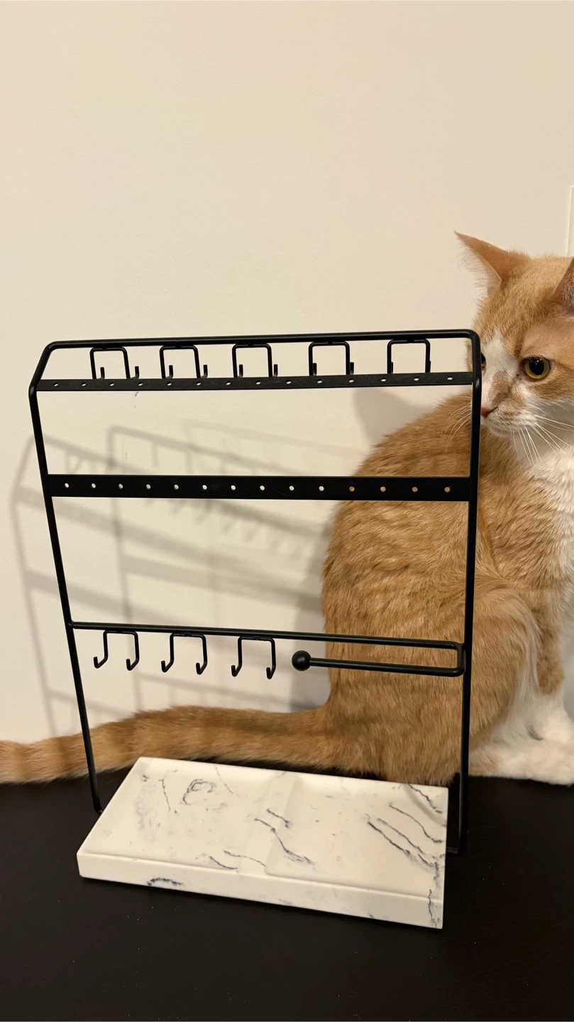 Black Metal Jewelry Organizer Stand