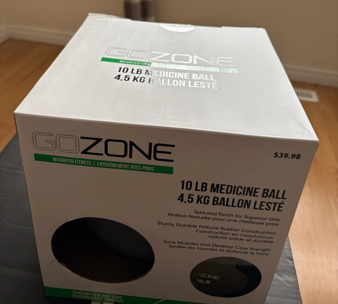GoZone 10lb Medicine Ball