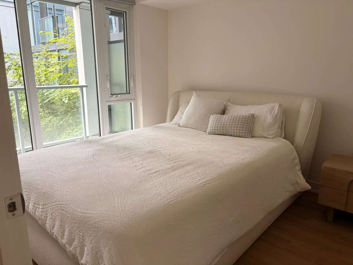 Queen size bed (structube) + Euro Top Mattress