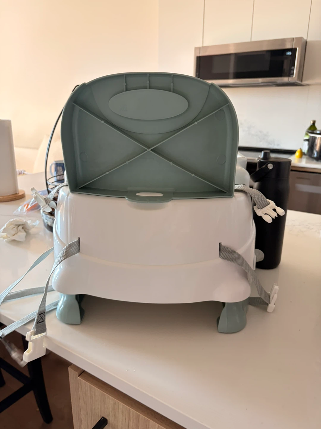 Fisher-Price Healthy Care Booster Seat - photo 4