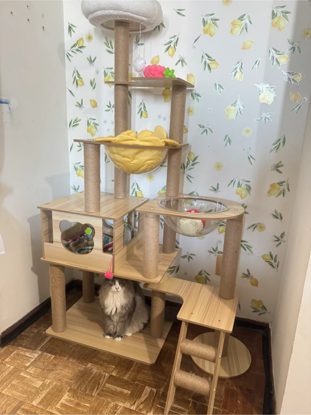 Modern Cat Tree Condo with Bowls - photo 2