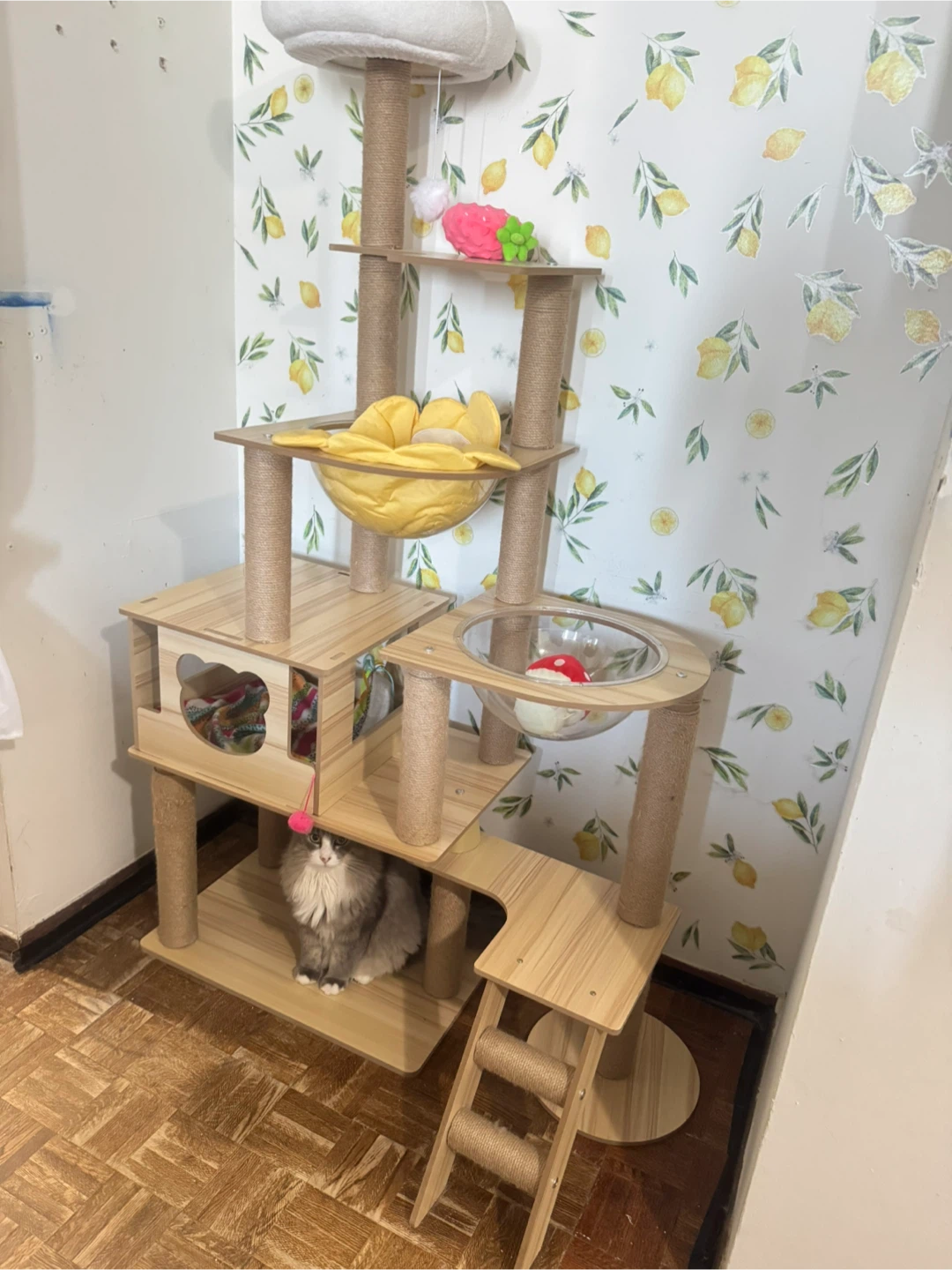 Modern Cat Tree Condo with Bowls - photo 3