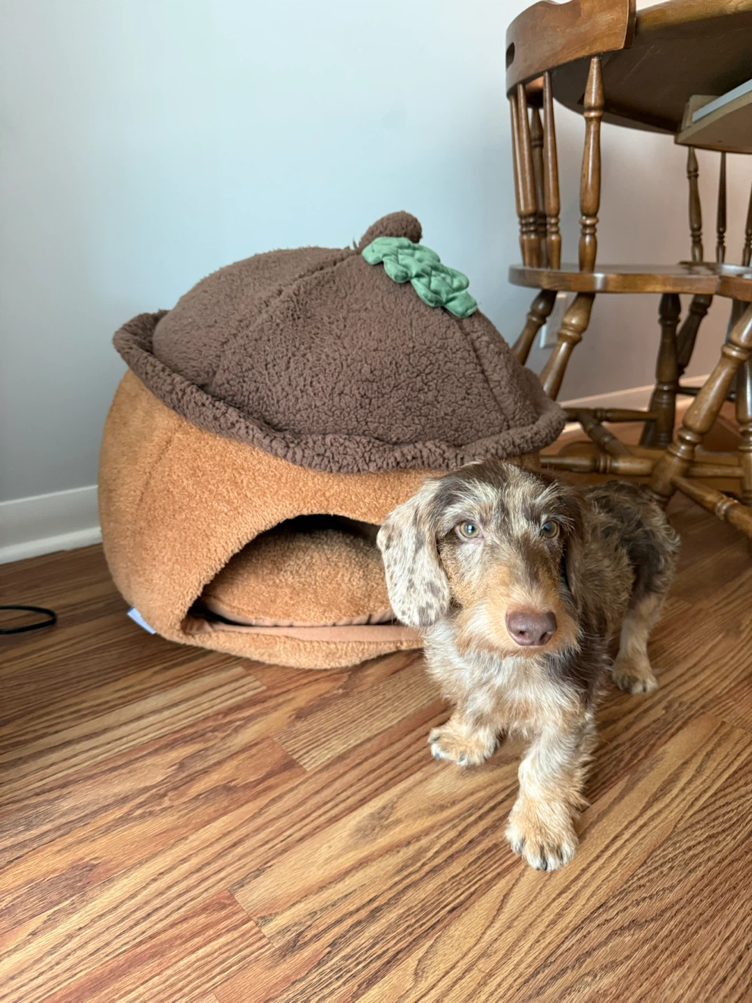 Acorn-Shaped Pet Cave Bed - photo 2