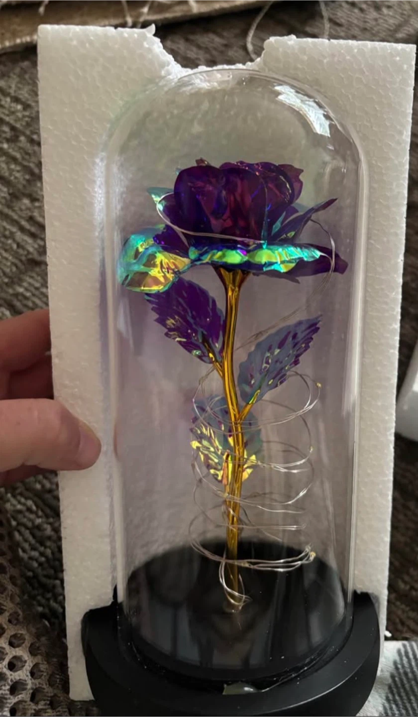 2 light up purple galaxy roses in glass dome