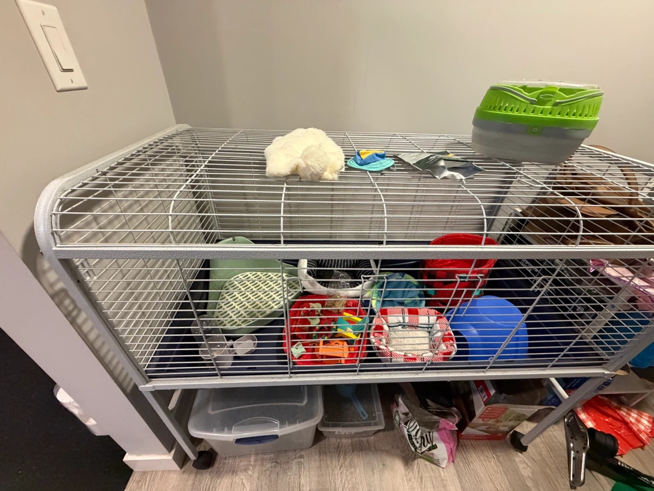 Small animal cage and supplies