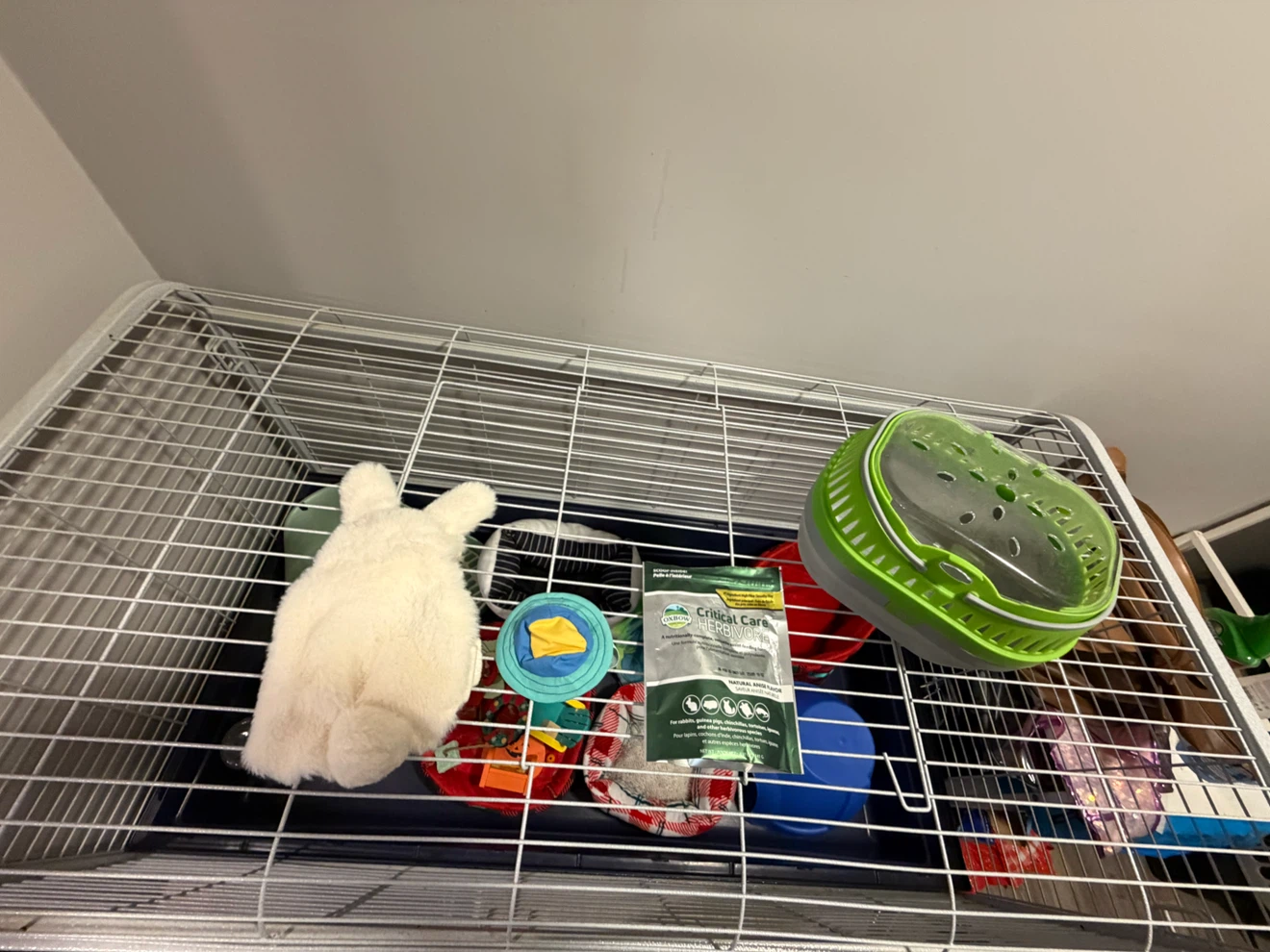 Small animal cage and supplies - photo 2