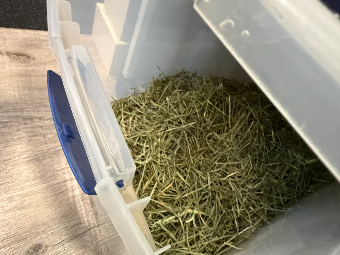 Small animal cage and supplies - photo 5