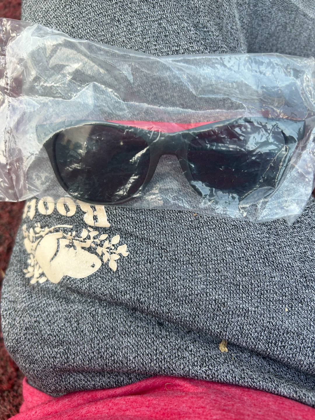 Let's Go, NT! Sunglasses