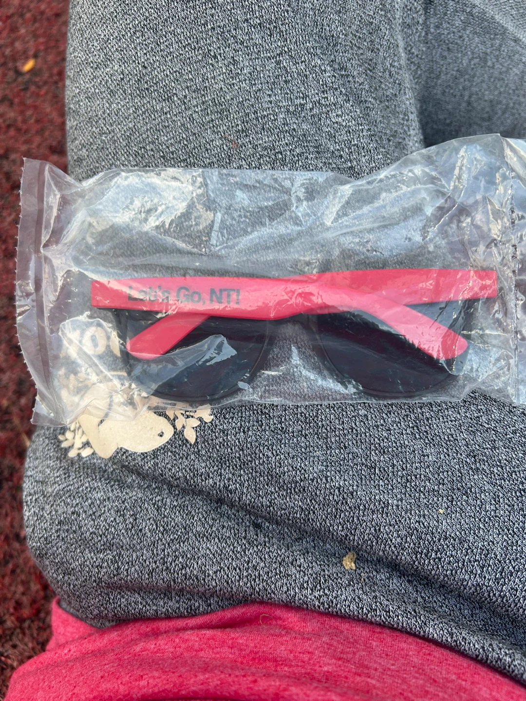 Let's Go, NT! Sunglasses - photo 2