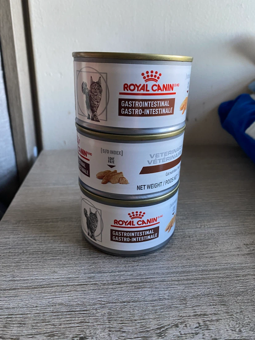 3 Cans Royal Canin Gastrointestinal Cat Food