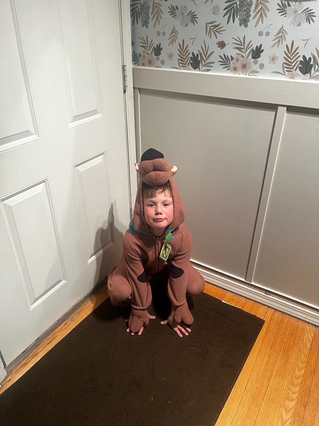 Scooby-Doo Kids Costume