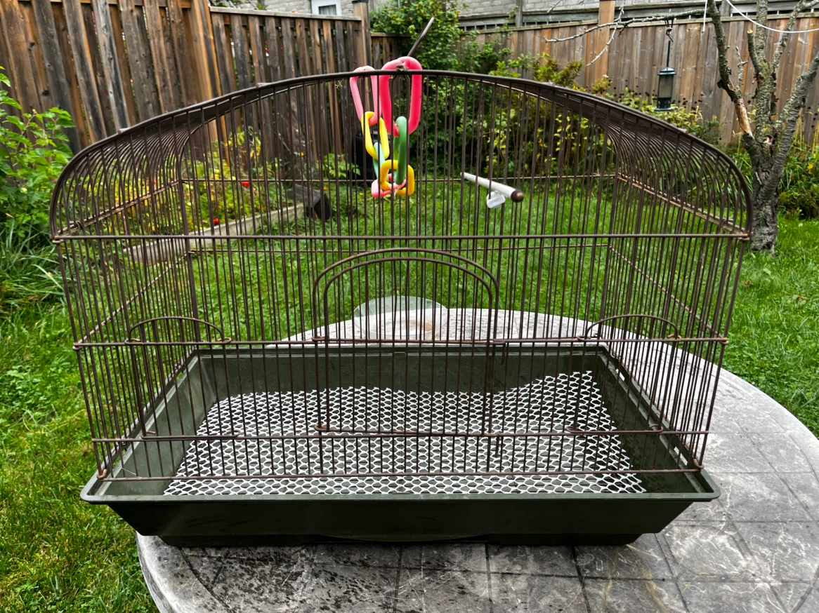 Bird Cage with Accessories plus cereal , nuts