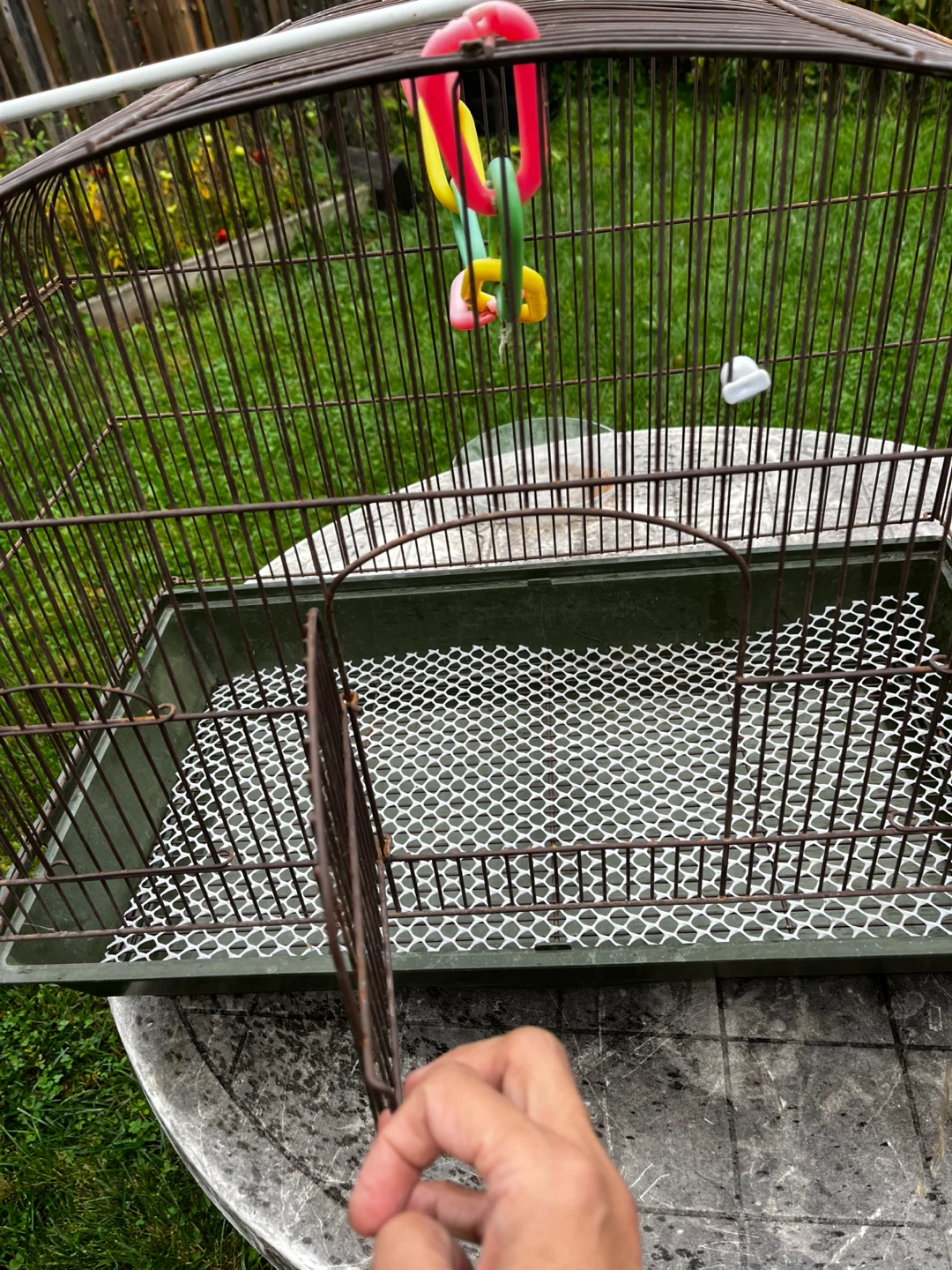 Bird Cage with Accessories plus cereal , nuts - photo 2