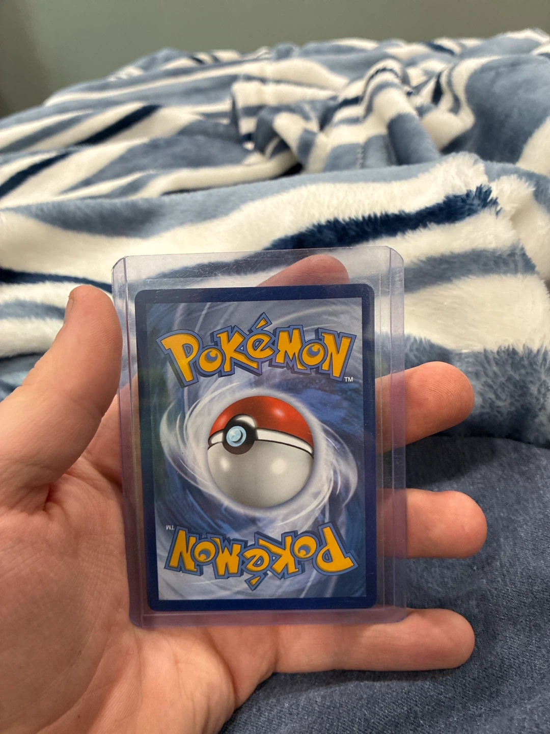 M Sharpedo EX Pokemon Card XY200 - photo 2