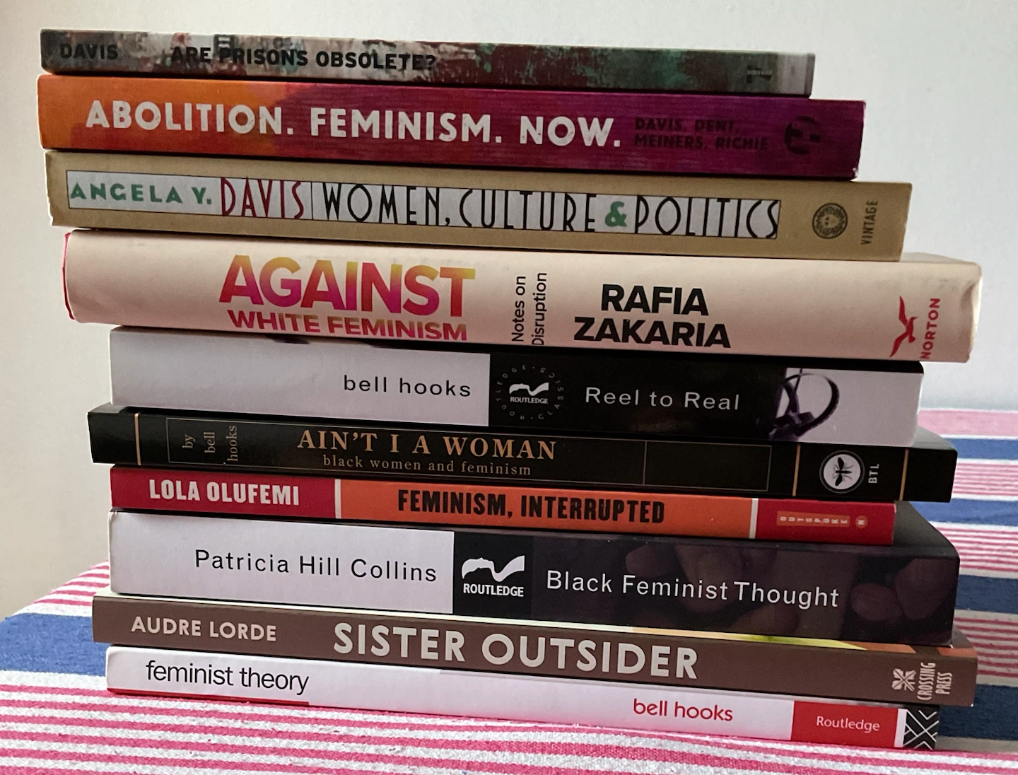 bell hooks, Angela Y. Davis book bundle (10 books for $50)