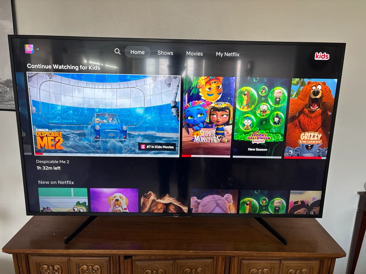 65” Sony Bravia Telivision