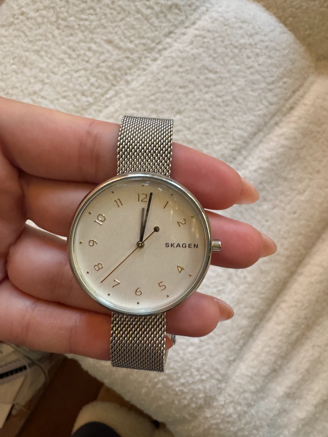 Skagen Signatur Mesh Watch