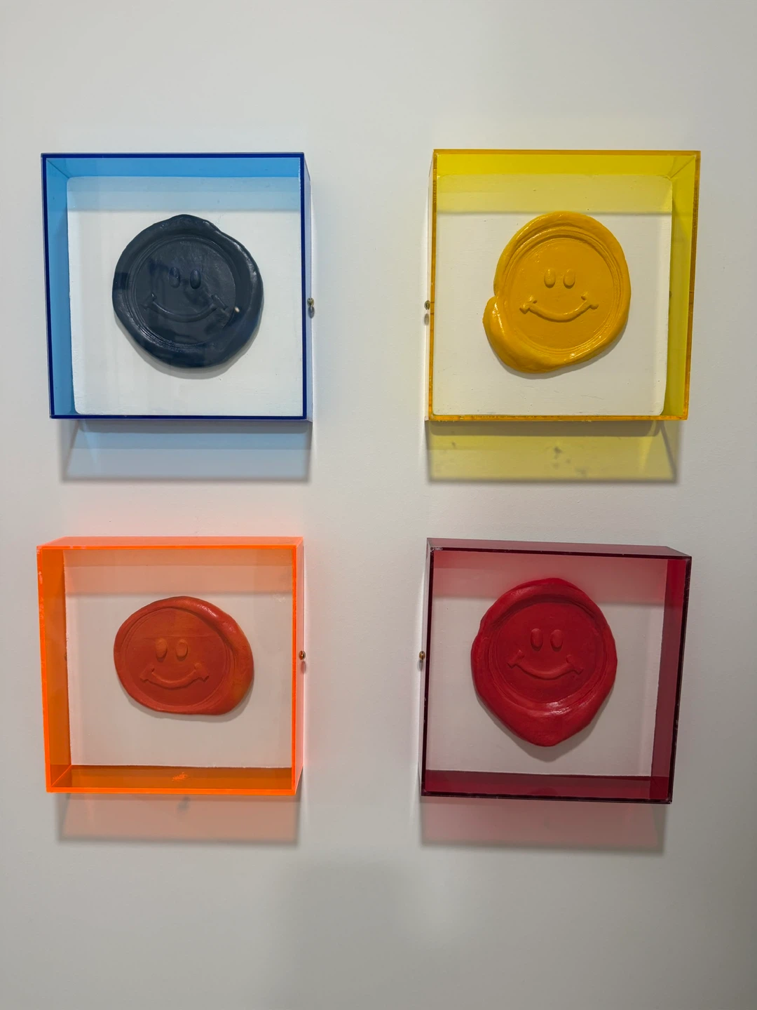 Set of 4 Acrylic Wall Art Pieces