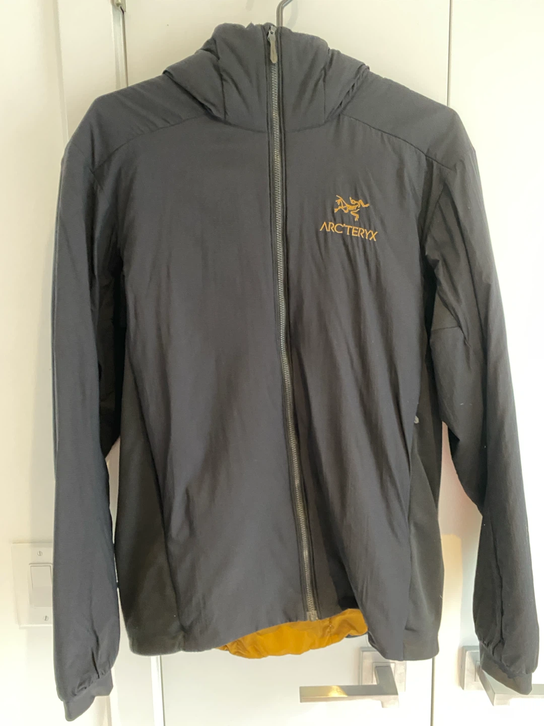 Arc'teryx Atom LT hoodied jacket