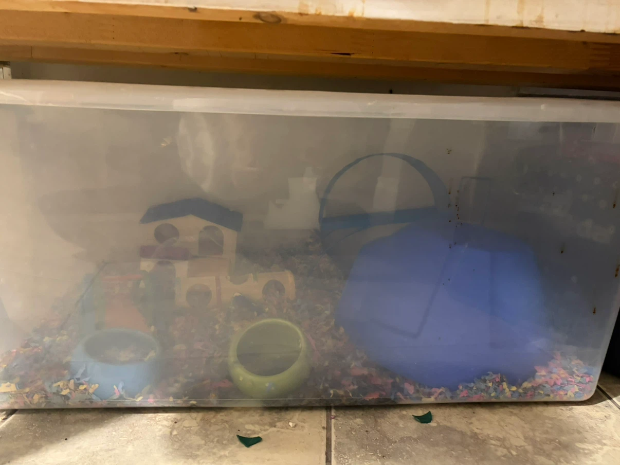 hamster bin cage with accessories