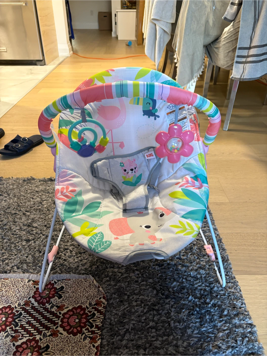 Baby Bouncer