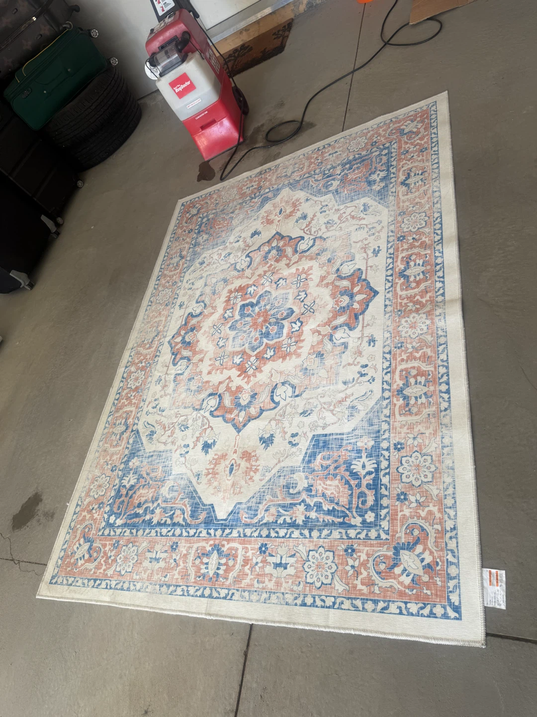 Large Traditional Style Area Rug