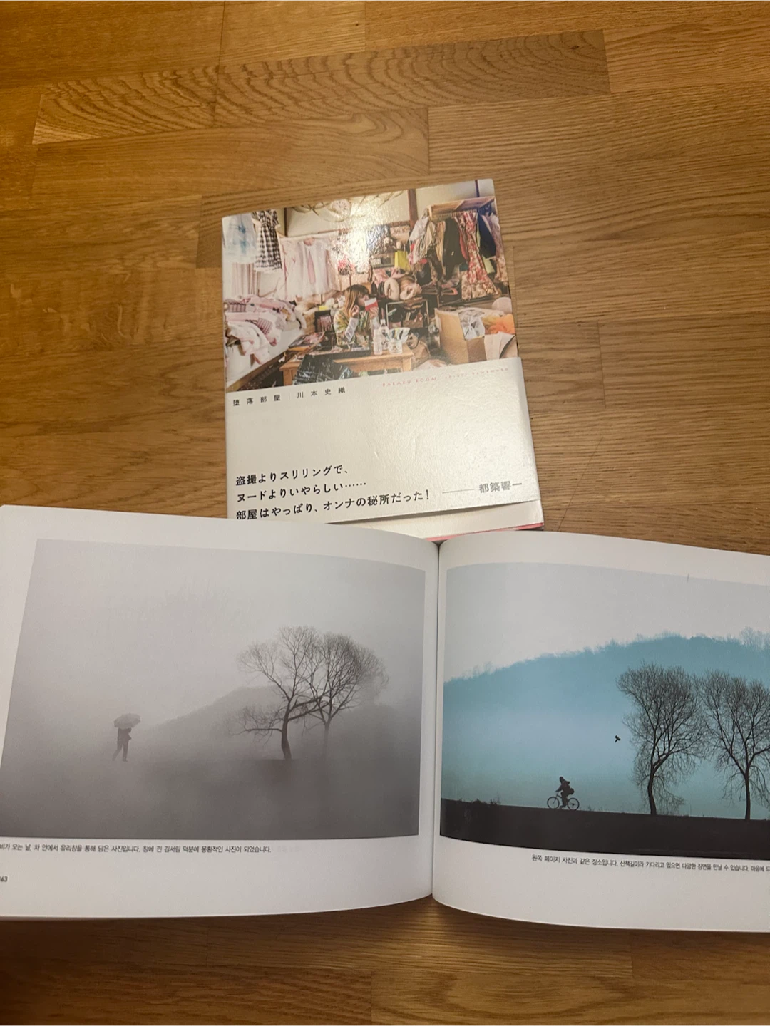 Japanese/Korean Photobooks - photo 3