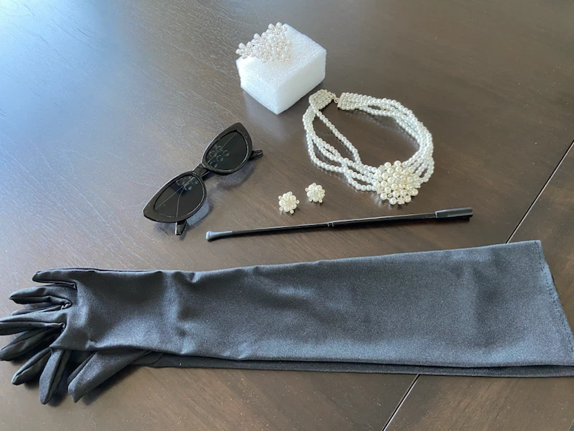 1920s Costume Accessory Set