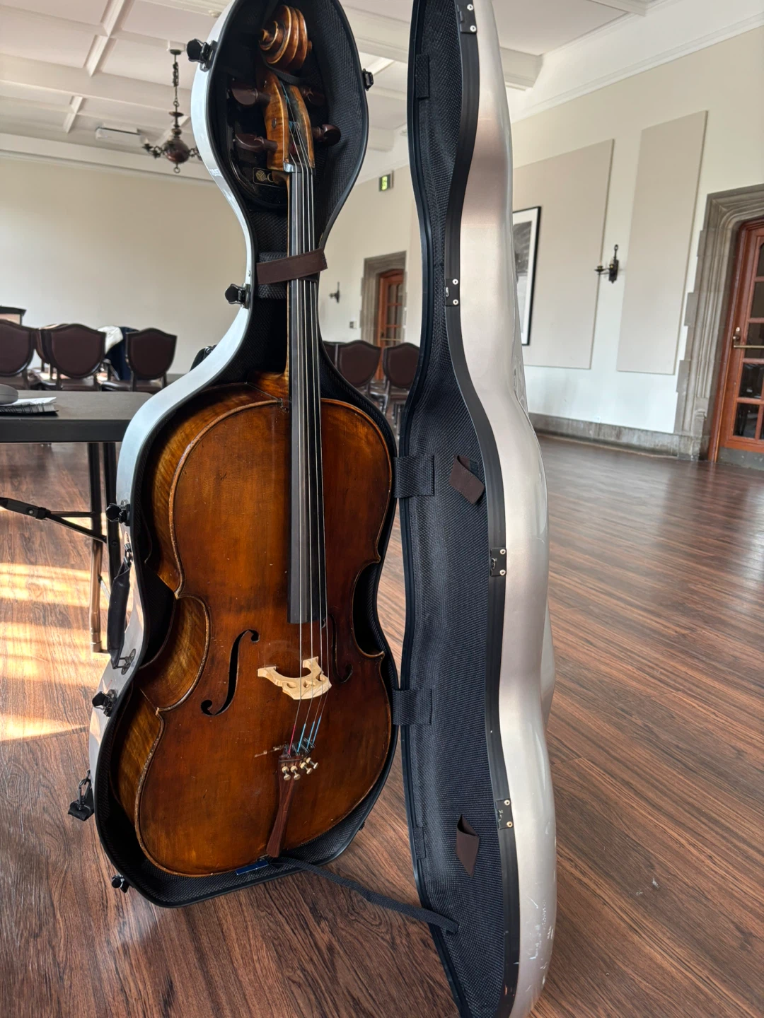 Cello with Hard Case - photo 3
