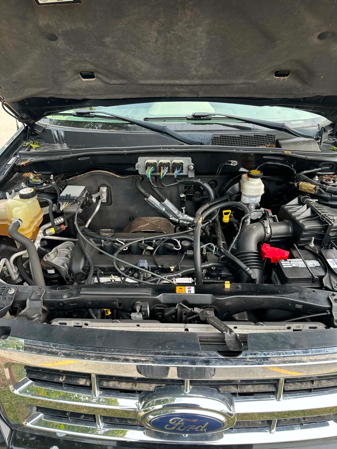 Ford Escape XLT - photo 5