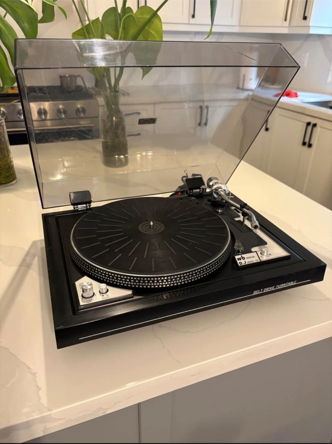 WB Dj 300 Turntable - photo 3