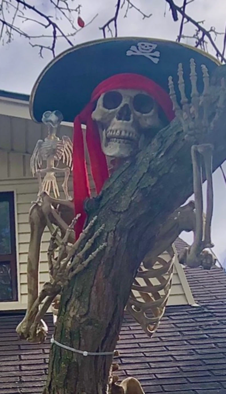 Assorted Halloween Decorations and Costumes