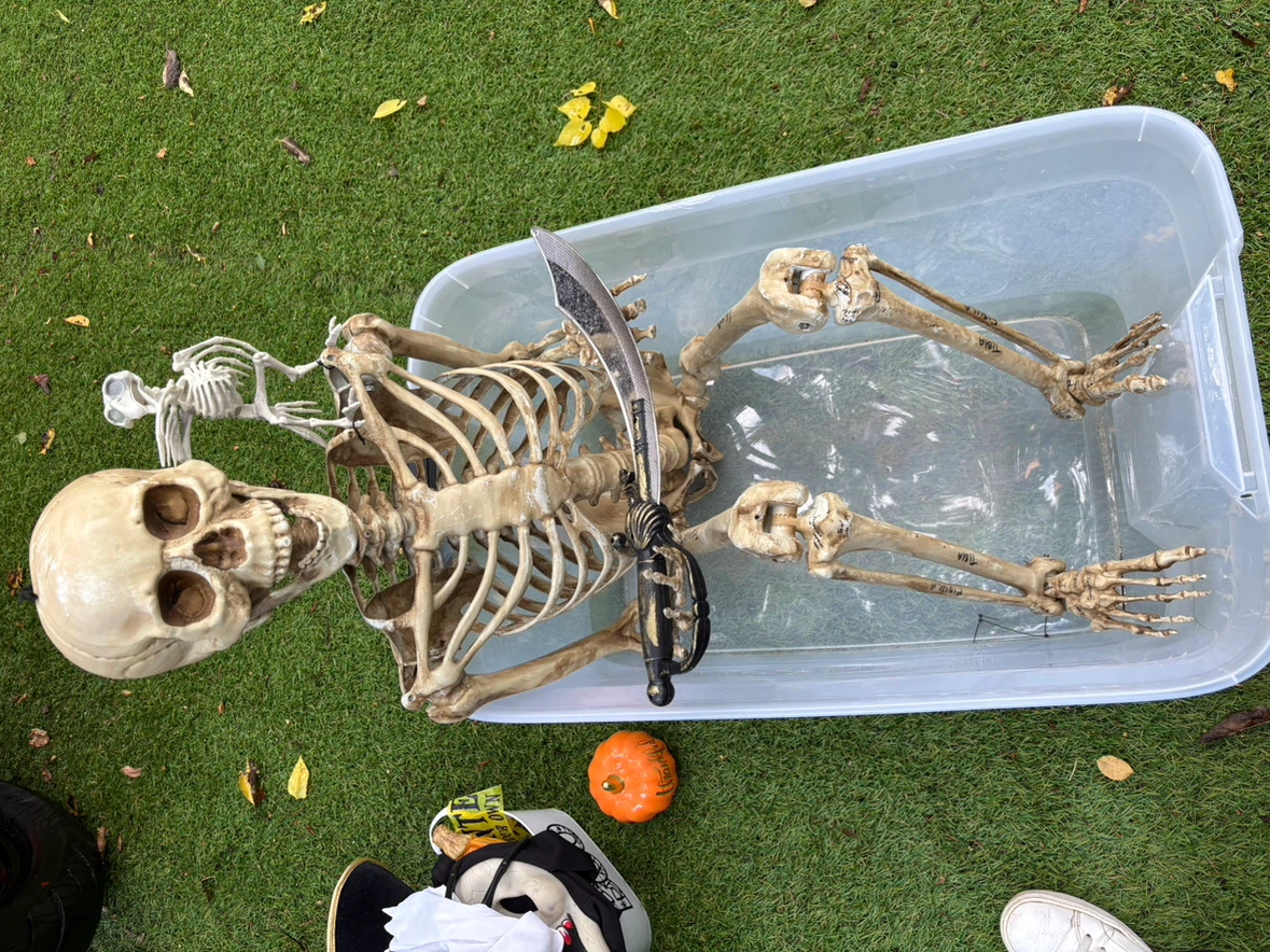 Assorted Halloween Decorations and Costumes - photo 2